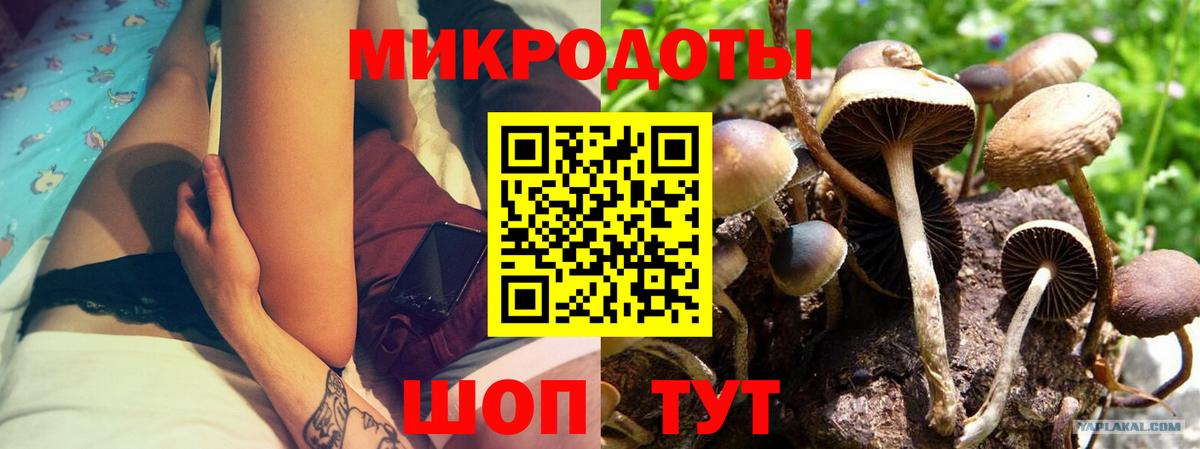 Галлюциногенные грибы Cubensis  Галлюциногенные грибы мухоморы  Вход с VPN  Комсомольск-на-Амуре 